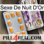 Golden Night Sex new12